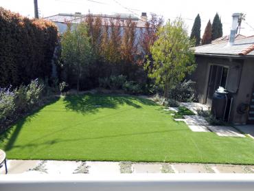 Artificial Grass Photos: Artificial Pet Turf Lamont California Back and Front Yard